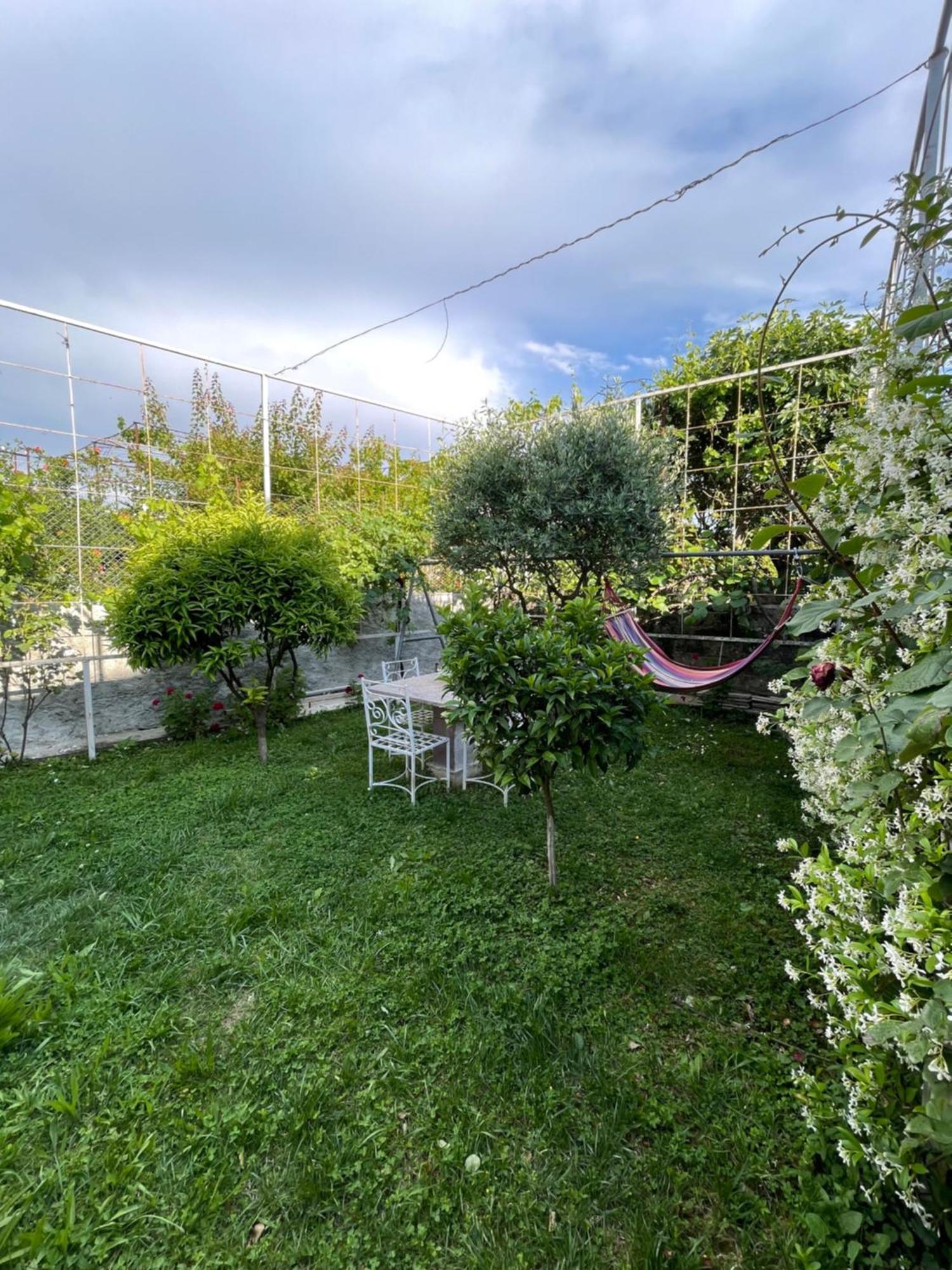 Vila Nela Shkodër Exterior foto